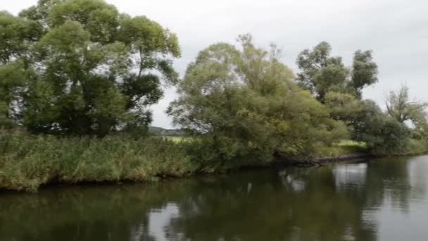 Driving with boat along Havel river. typical landscape with meadows and willow tries. Havelland region. (Germany) — Stock Video