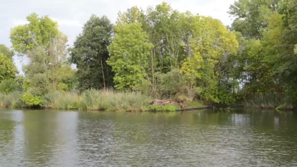 Вождение на лодке вдоль реки Гавел. типичный пейзаж с лугами и ивами. Регион Хафелланд. (Германия ) — стоковое видео