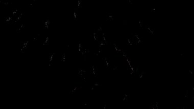 Siyah gök beyaz renkli mutlu yeni yıl havai fişek.