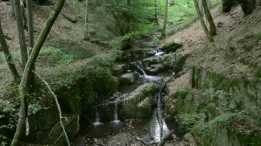 Donnerloch. vahşi akışı Brodenbach Mosel Nehri'nin yanında. Şelaleler ve taşlar. Tabiat manzarası. (Almanya, Rheinland-Pfalz)