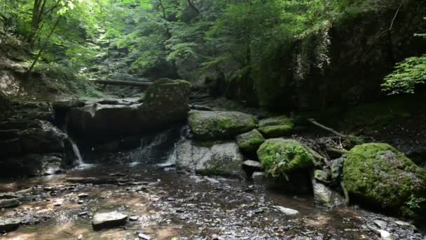 Wild stream Ehrbach naast de rivier de Moezel. wild landschap. (Duitsland, Rijnland-Palts) — Stockvideo