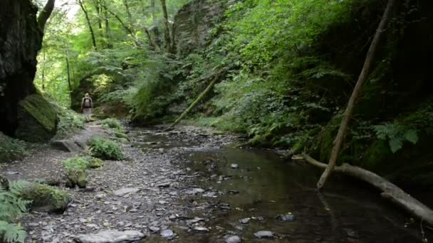 Del av Ehrbachklamm (Ehrbach Canyon) vilda strömmen Ehrbach intill Mosel-floden. vilda landskap. (Tyskland, Pfalz) — Stockvideo