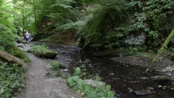 Man met de tas wandelen langs bij wild stream Ehrbach naast de rivier de Moezel. wild landschap. (Duitsland, Rijnland-Palts) — Stockvideo