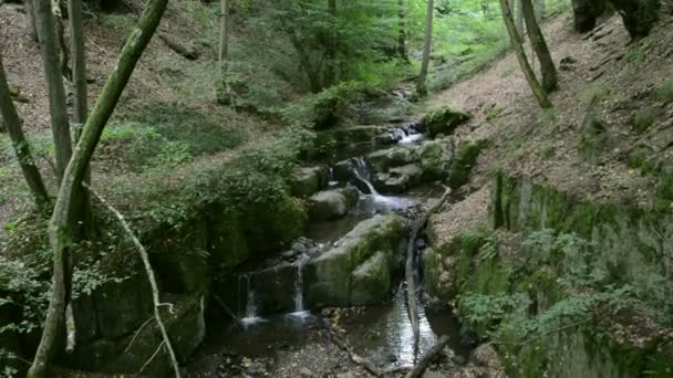 Donnerloch입니다. 야생 스트림 모 셀 강 옆 브로 덴 바흐입니다. 폭포와 돌 야생 풍경입니다. (독일, 라인 지방 팔 라틴) — 비디오