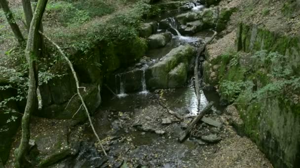 Donnerloch. vilda ström Brodenbach intill Mosel-floden. Vattenfall och stenar. vilda landskap. (Tyskland, Pfalz) — Stockvideo