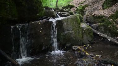 Donnerloch. vahşi akışı Brodenbach Mosel Nehri'nin yanında. Şelaleler ve taşlar. Tabiat manzarası. (Almanya, Rheinland-Pfalz)