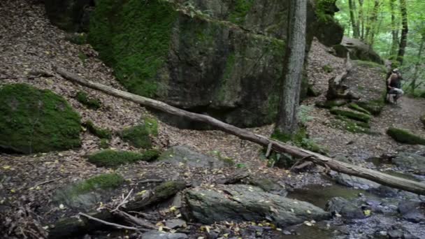 Donnerloch. vilda ström Brodenbach intill Mosel-floden. Vattenfall och stenar. vilda landskap. (Tyskland, Pfalz) — Stockvideo