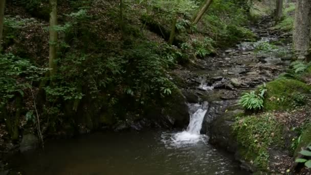 Wild stream Brodenbach naast de rivier de Moezel. Watervallen en stenen. wild landschap. (Duitsland, Rijnland-Palts) — Stockvideo