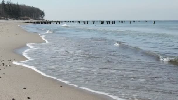 Praia do mar Báltico em Grahl Mueritz, Meckelenburg Vorpommern, Alemanha . — Vídeo de Stock