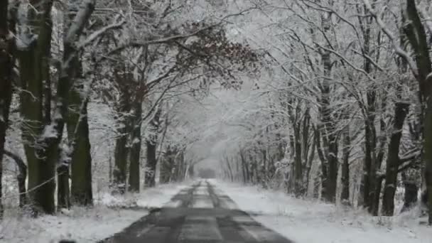 Kørsel langs en vej om vinteren. sneklædte og glatte – Stock-video