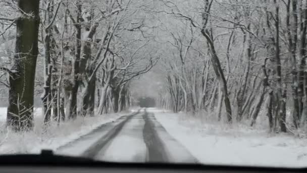 Conduciendo a lo largo de una carretera en invierno. nevado y resbaladizo — Vídeos de Stock