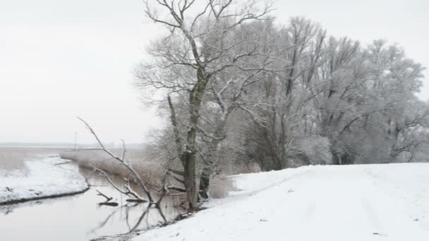 Besneeuwde winterlandschap in Havelland (Brandenburg, Duitsland). Guelper lake. — Stockvideo