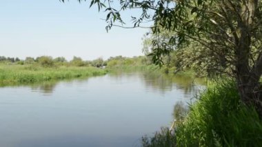 Yaz aylarında Havel Nehri. Ana Nehri'nin Havelland (Brandenburg, Almanya akan küçük yan kol)