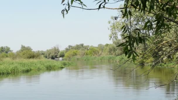 Havel rivier in de zomer. Kleine zijarm van de belangrijkste rivier die stroomt door Havelland (Brandenburg, Duitsland) — Stockvideo