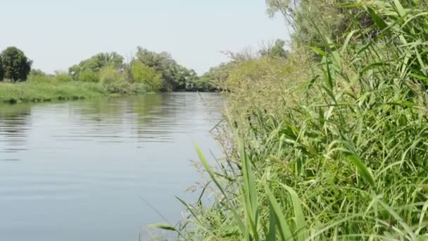 Гавел річка в літо. Невеликий сторону arm Головна річка, що протікає через Havelland (Бранденбург, Німеччина) — стокове відео