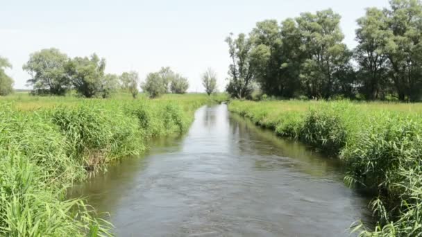 Fiume Havel in estate. Piccolo braccio laterale del fiume che scorre attraverso Havelland (Brandeburgo, Germania ) — Video Stock