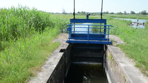 Weir on a Havel river side arm. Havelland (Brandenburg, Germany) — Stock Video