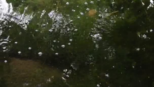 Kolsyra. Laach sjö (Laacher See), en typisk caldera sjön i Tyskland. Geologiska plats orsak kolsyra kommer upp till sjön av volcanism aktivitet. — Stockvideo