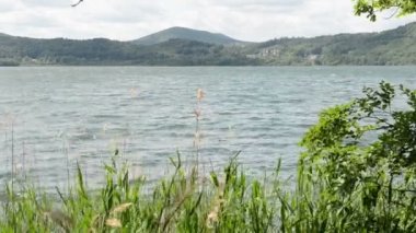 Laach Gölü (bkz. Laacher), Almanya tipik caldera gölde. eski drift ahşap ağaç su.