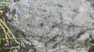 Karbonik asit. Laach Gölü (bkz. Laacher), Almanya tipik caldera gölde. Jeolojik yer neden karbonik asit göle volkanizma etkinliği ile çıkageldi.