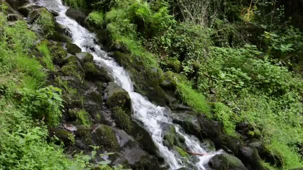 Cascade de Bad Bertrich (Rhénanie-Palatinat, Allemagne) ). — Video