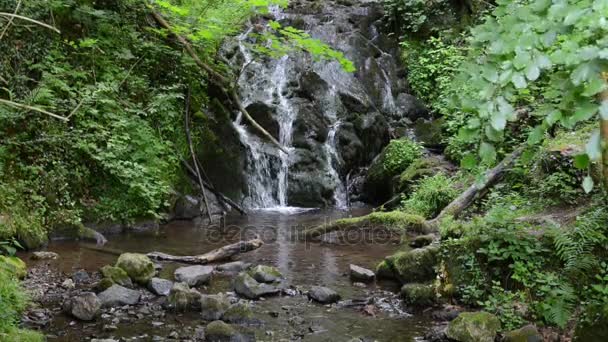 Vattenfall av Bad Bertrich (Rheinland-Pfalz, Tyskland). — Stockvideo