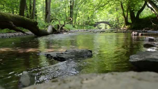 Elz rivier met bos rondom. De rivier stroomt langs het dorp Monreal en het kasteel Burg Eltz. (Eifel, Duitsland) — Stockvideo