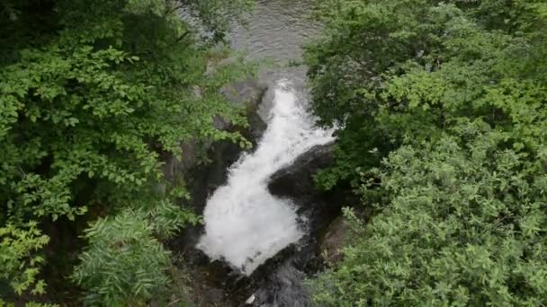 Vodopád na řece Elz s Les všude kolem. Řeka teče podél vesnice Monreal a hrad Burg Eltz. (Eifel, Německo) — Stock video