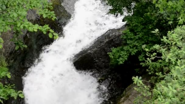Waterfall on Elz river with forest all around. The river flows along the village Monreal and the castle Burg Eltz. (Eifel, Germany) — Stock Video