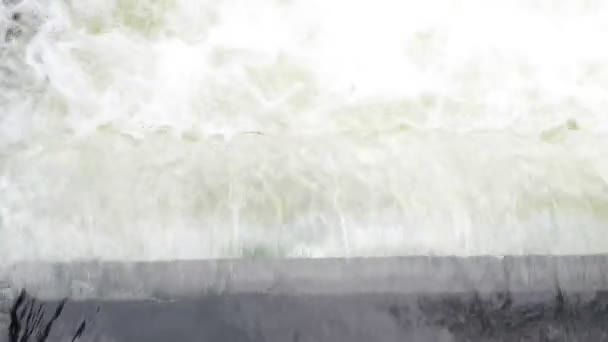 ハーフェル川の流れ落ちる水 — ストック動画