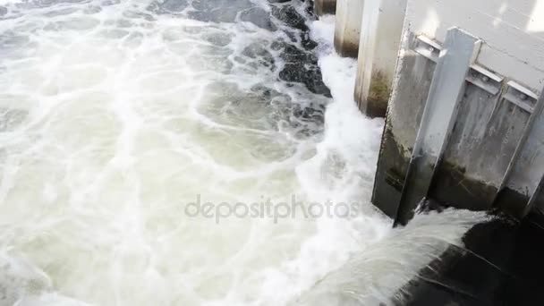 Acqua cadente del fiume Havel — Video Stock