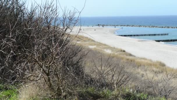 Praia do mar Báltico da aldeia Ahrenshoop em Darss peninsulas (Mecklenburg-Vorpommern, Alemanha). dunas de areia típicas . — Vídeo de Stock