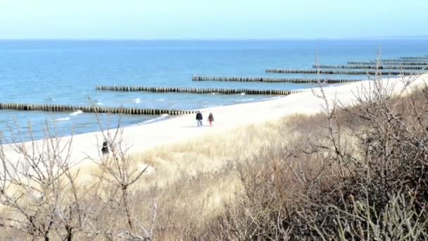 People walking along at the Baltic Sea beach of village  Wustrow at Darss peninsulas (Mecklenburg-Vorpommern, Germany). On right side typical sand dunes. — Stock Video