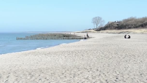 People walking along at the Baltic Sea beach of village  Wustrow at Darss peninsulas (Mecklenburg-Vorpommern, Germany). typical sand dunes. — Stock Video