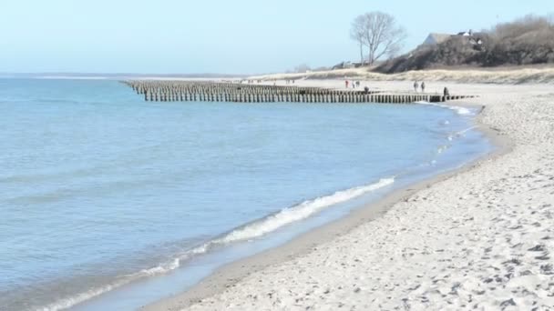 İnsanlar Darss yarımadalar (Mecklenburg-Vorpommern, Germany) adlı Ahrenshoop köy, Baltık Denizi plajda yürüyorduk. tipik kum tepeleri. — Stok video