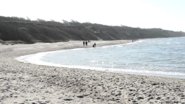 Gente caminando por la playa del Mar Báltico del pueblo Ahrenshoop en las penínsulas de Darss (Mecklemburgo-Vorpommern, Alemania). A la izquierda dunas de arena típicas . — Vídeos de Stock