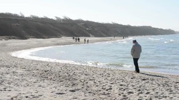 Ludzie idąc na bałtyckiej plaży w miejscowości Ahrenshoop o Darss półwyspy (Meklemburgia-Pomorze Przednie, Niemcy). wydmy. — Wideo stockowe