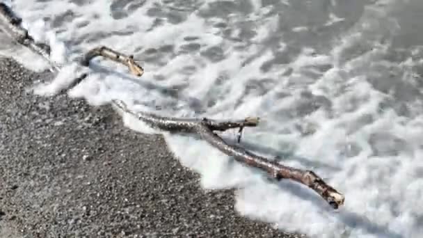 Ondas quebrando na costa com seixos e troncos no mar Báltico — Vídeo de Stock