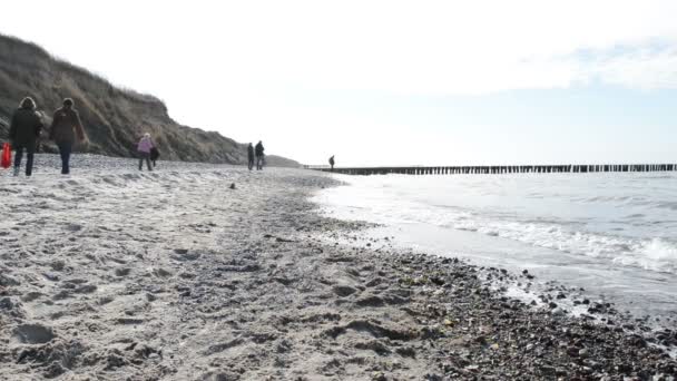 People walking along at the Baltic Sea beach of village  Wustrow at Darss peninsulas (Mecklenburg-Vorpommern, Germany). On right side typical sand dunes. — Stock Video