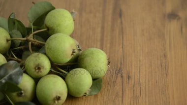 Avrupa yabani armut düşüyor. Klipte yuvarlanma sepeti