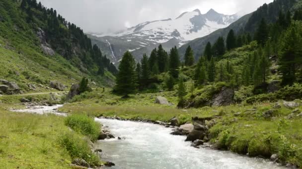 Divoký proud v údolí Gerlostal v oblasti Zillertal. Vysoké Taury. — Stock video