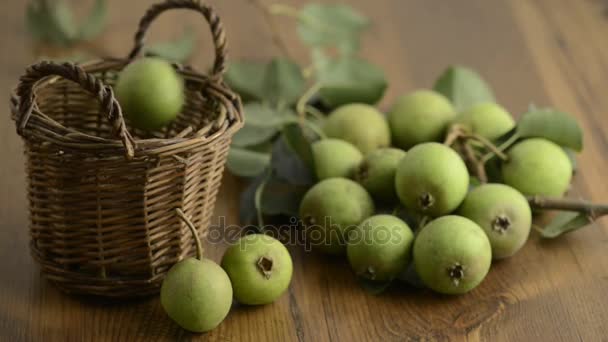 Faller ner europeiska vilda päron i en korg — Stockvideo