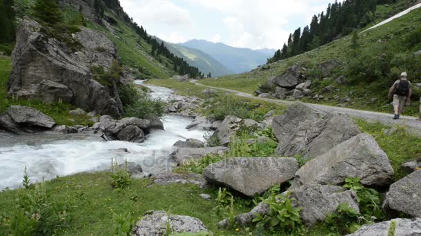 Caminhadas ao longo do riacho gerlos no vale Gerlostal na área de Zillertal . — Vídeo de Stock