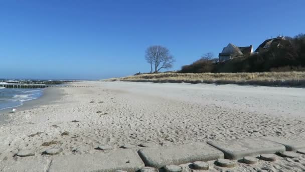 Stranden i ahrenshoop med dess sanddyner och reed hus (Tyskland). — Stockvideo