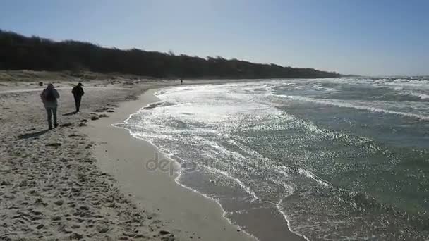 Прогулянка по пляжу Аренсхоп із дюн та рід будинків (Німеччина) — стокове відео