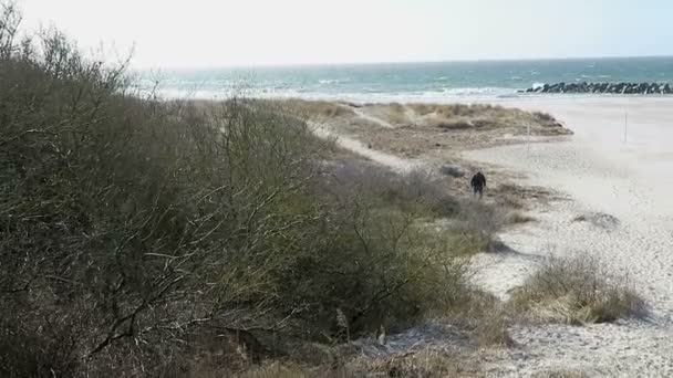 Vandring längs stranden i ahrenshoop med dess sanddyner och reed hus (Tyskland) — Stockvideo