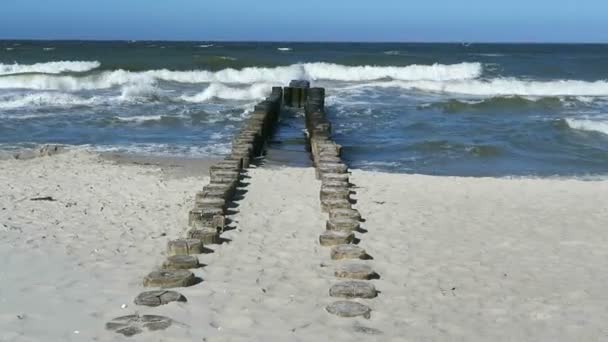 Baltık Denizi Wustrow plaj ve Ahrenshoop ahşap groyne. — Stok video