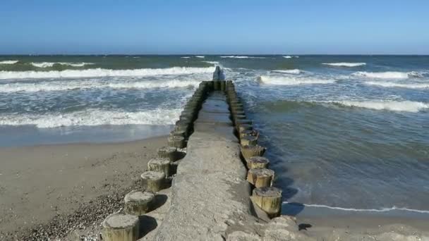 Trä groyne på Östersjön stranden av Wustrow och Ahrenshoop. — Stockvideo