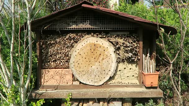 Hmyzí hotel s Osmia natans divoké včely lítají