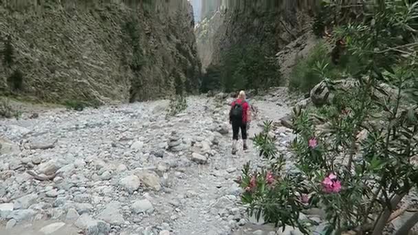 Gente caminando por el desfiladero de Samaria en Creta (Grecia) ). — Vídeos de Stock